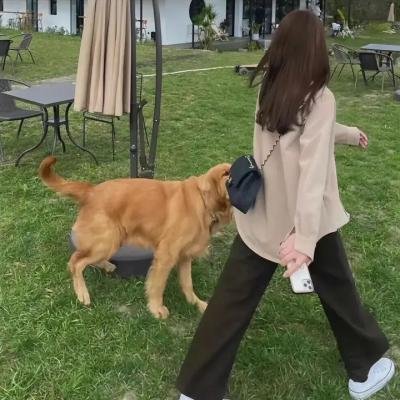 谁杀了陈果仁？